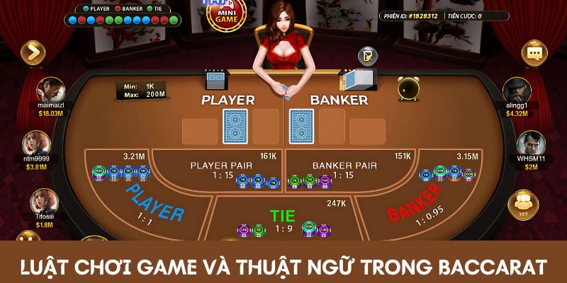 Luật chơi bài và thuật ngữ trong baccarat